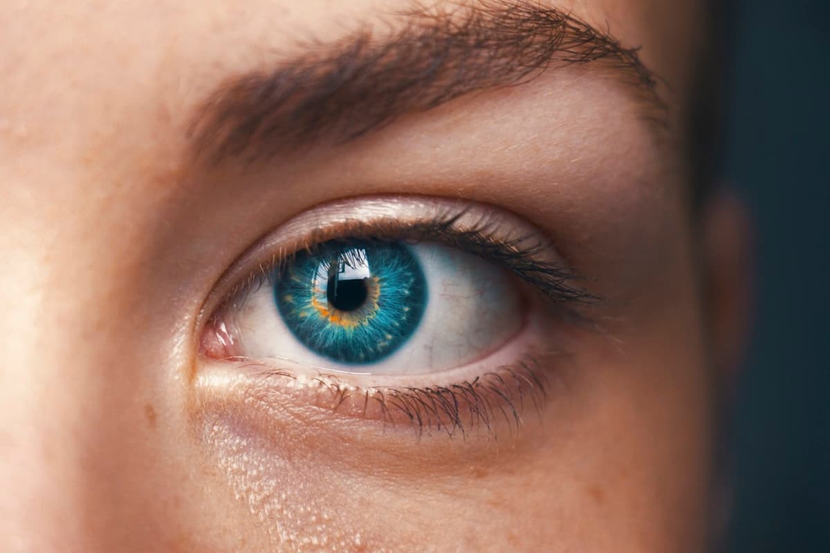 Gouttes pour les yeux contre la sécheresse oculaire : comment choisir et ne pas surpayer