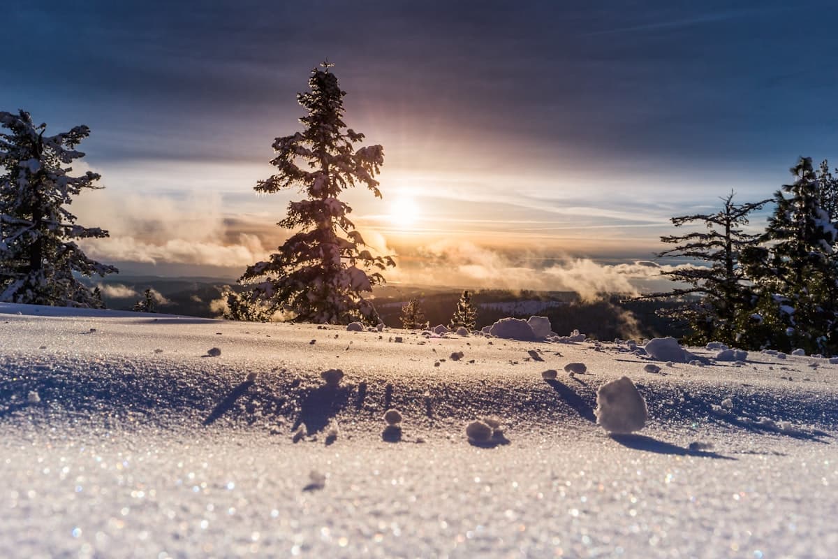 Énergie Hivernale : Mouvement, Lumière, Protéines - Au Lieu de 5 Boîtes de Compléments